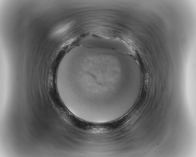 X0000084530547200703161610