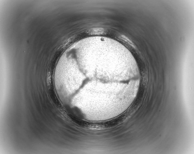 X0000084530549200703161610