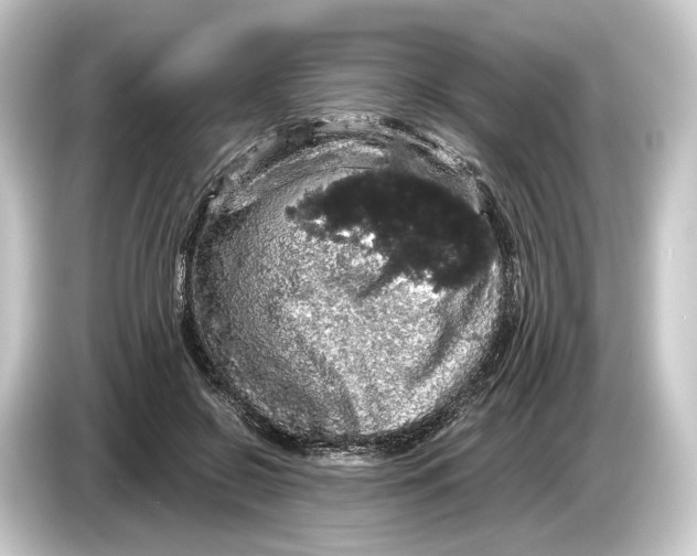 X0000084530550200703161610