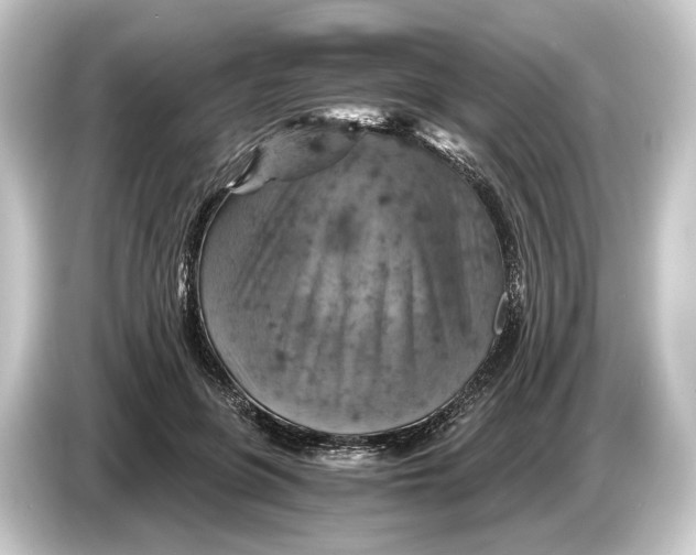 X0000084530551200703161610