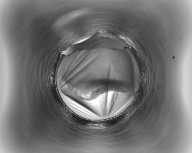 X0000084530553200703161610