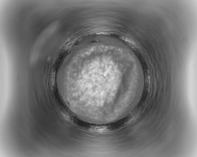 X0000084530554200703161610