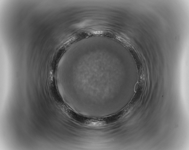 X0000084530555200703161610