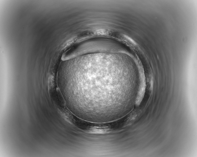 X0000084530556200703161610