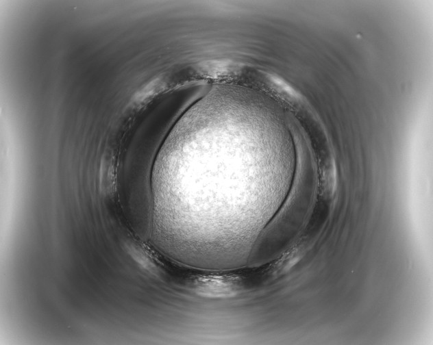 X0000084530558200703161610