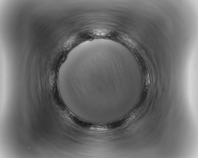 X0000084530559200703161610