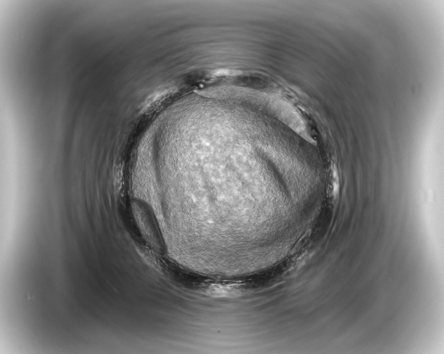 X0000084530560200703161610