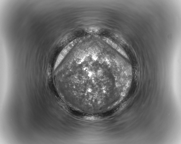 X0000084530561200703161610