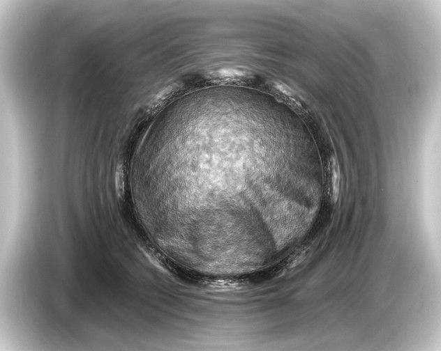 X0000084530562200703161610