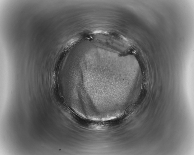 X0000084530563200703161610