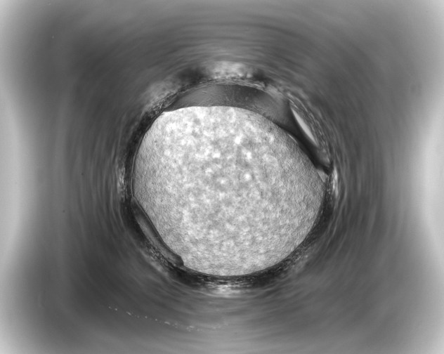 X0000084530564200703161610