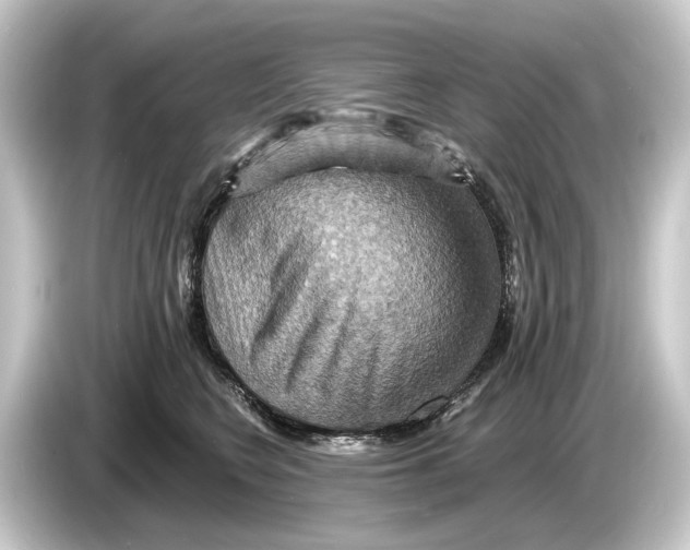 X0000084530566200703161610