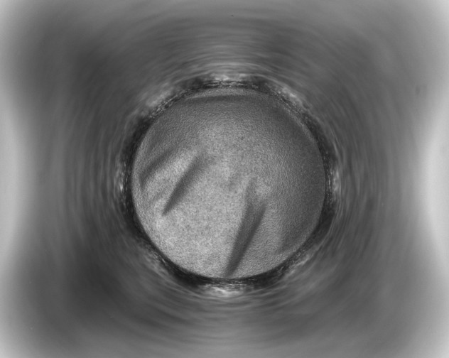 X0000084530567200703161610