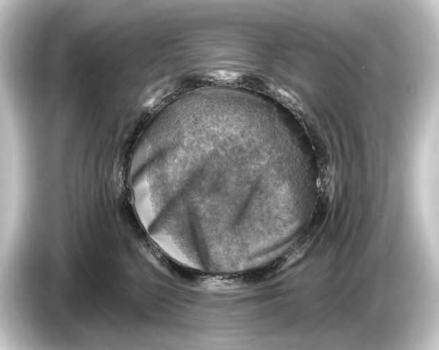 X0000084530568200703161610