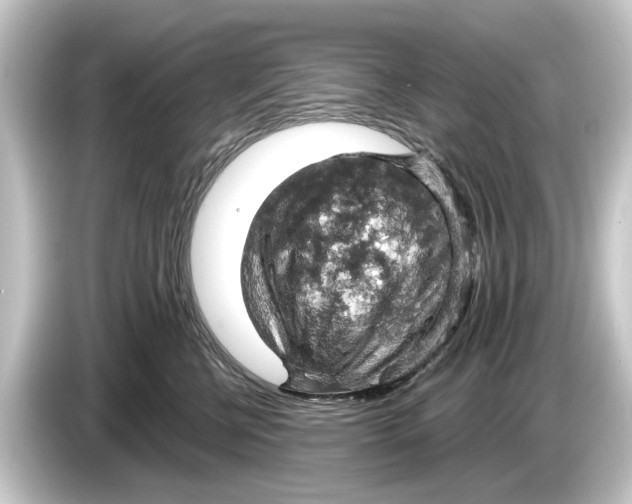 X0000084530570200703161610