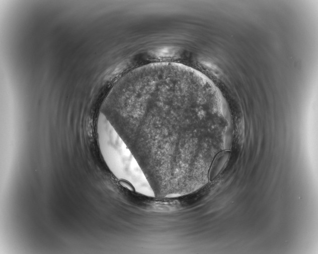 X0000084530571200703161610