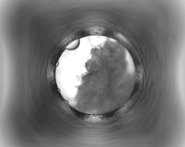 X0000084530573200703161610