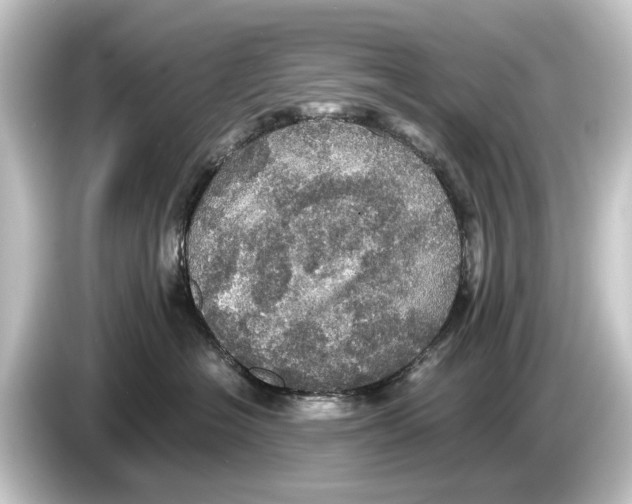 X0000084530574200703161610