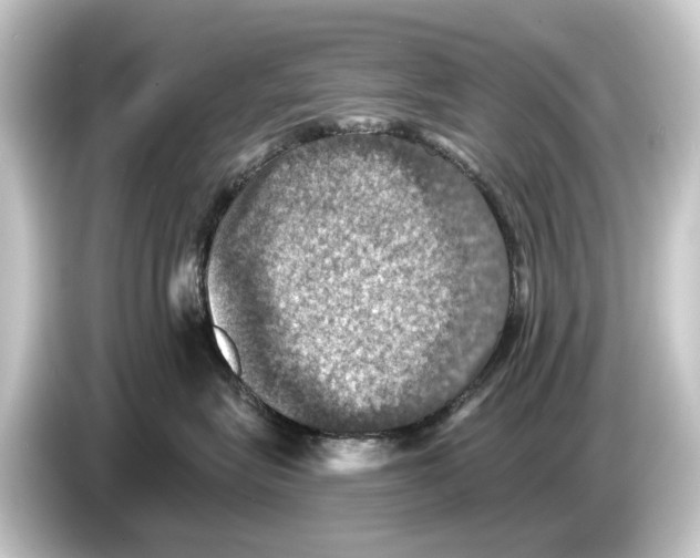 X0000084530575200703161610