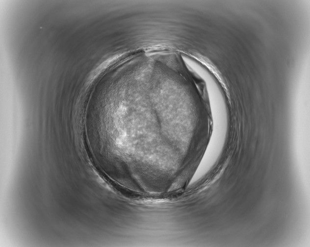 X0000084530577200703161610