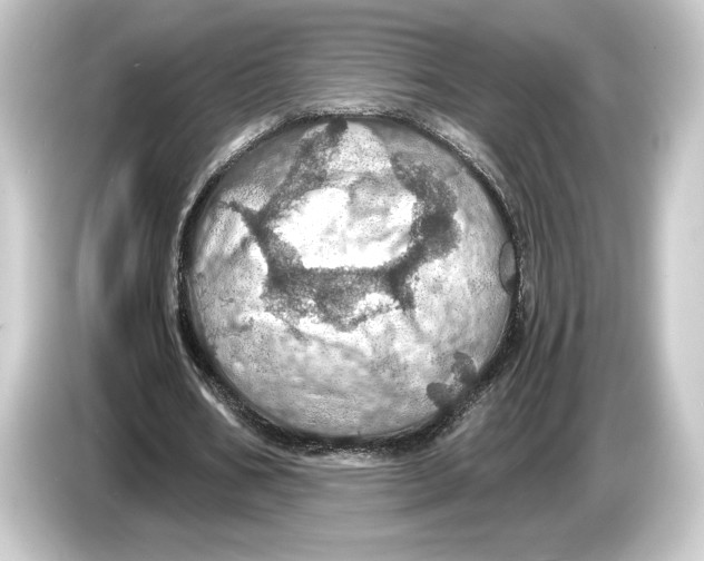 X0000084530578200703161610