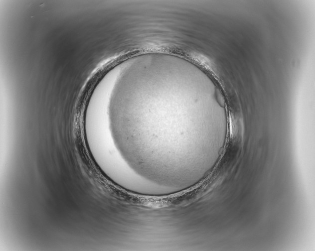 X0000084530579200703161610