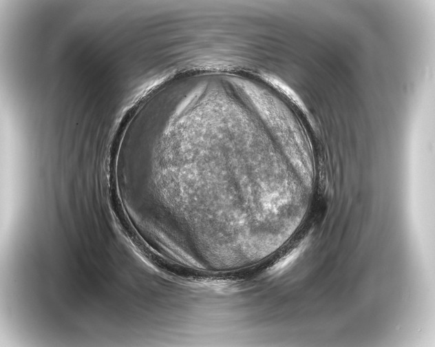 X0000084530581200703161610