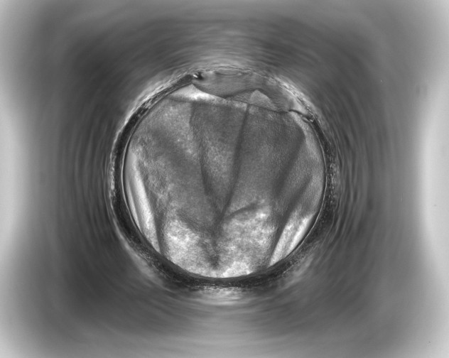 X0000084530582200703161610