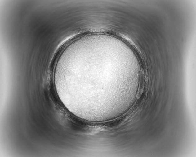 X0000084530583200703161610