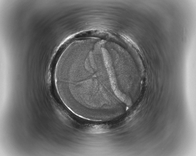 X0000084530584200703161610