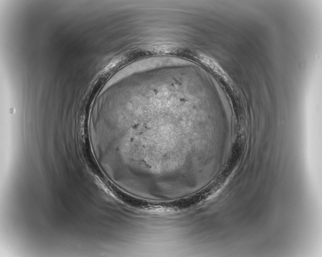 X0000084530585200703161610