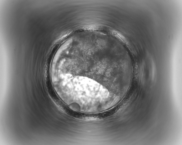 X0000084530586200703161610