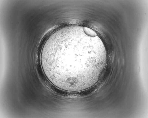 X0000084530587200703161610