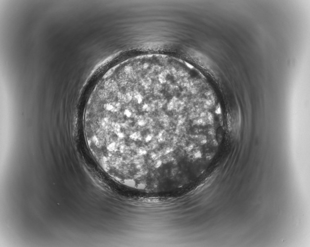 X0000084530588200703161610