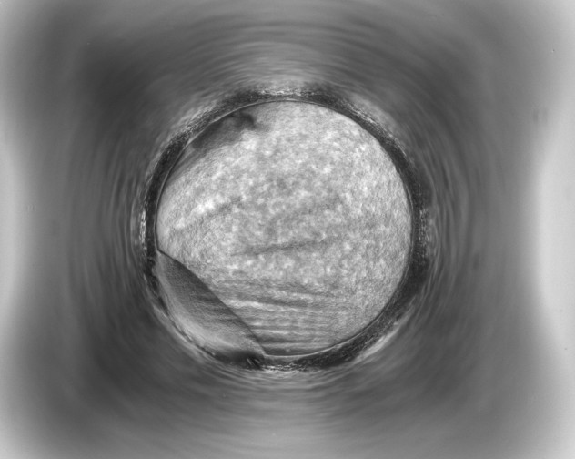 X0000084530589200703161610