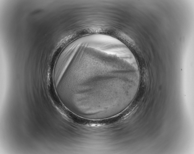 X0000084530590200703161610