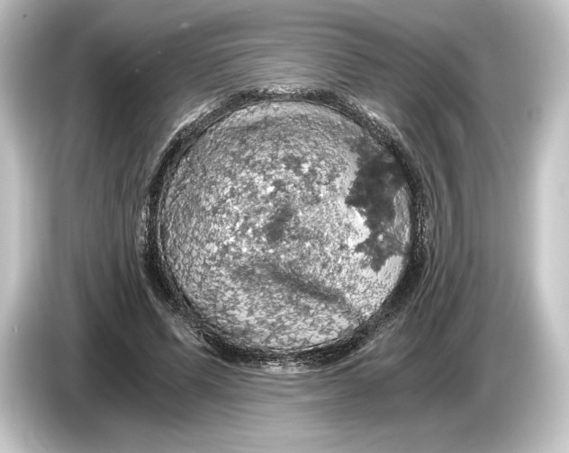 X0000084530591200703161610