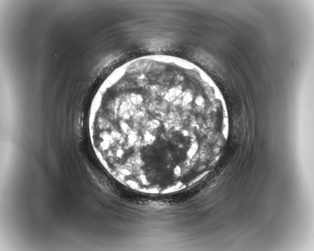 X0000084530592200703161610