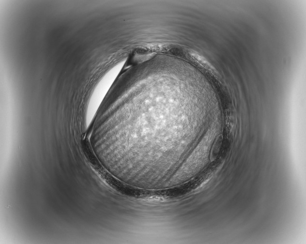 X0000084530593200703161610