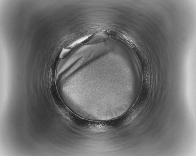 X0000084530594200703161610