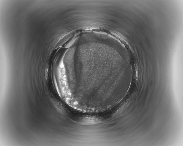 X0000084530596200703161610