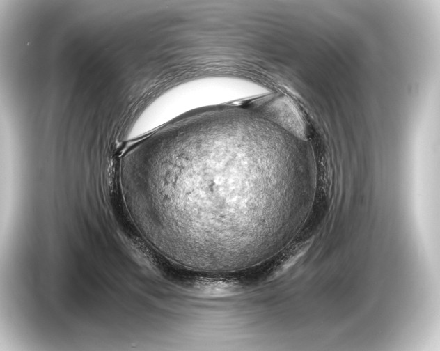 X0000084530597200703161610