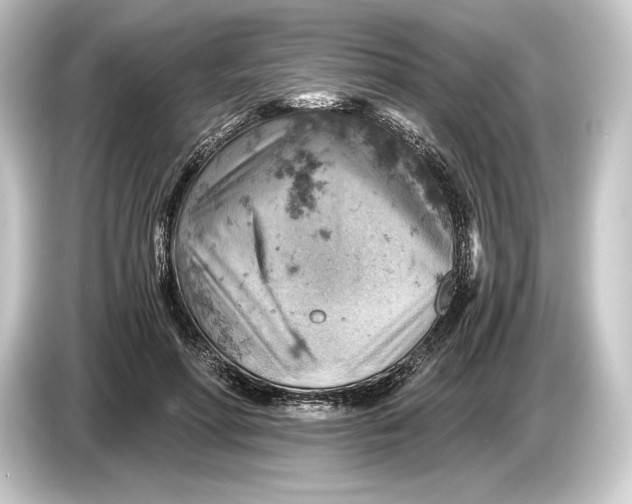 X0000084530598200703161610