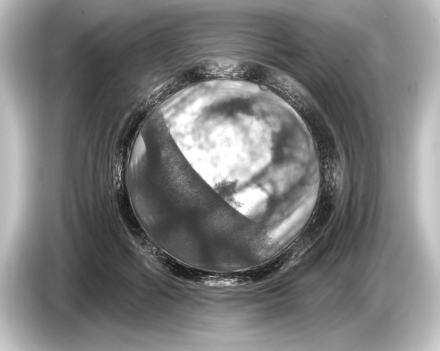 X0000084530602200703161610