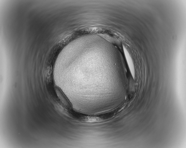 X0000084530605200703161610