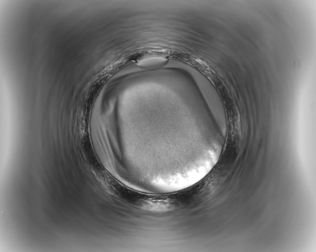 X0000084530606200703161609