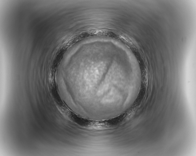 X0000084530607200703161609