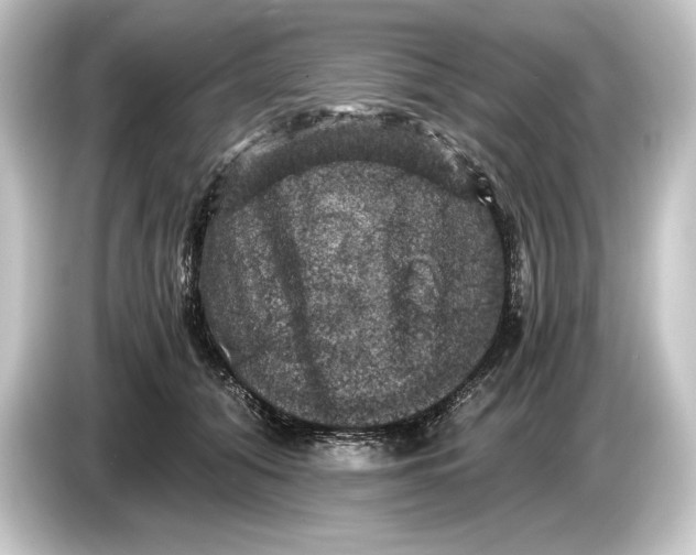 X0000084530608200703161609