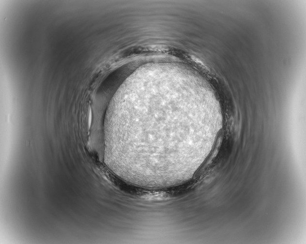 X0000084530609200703161609