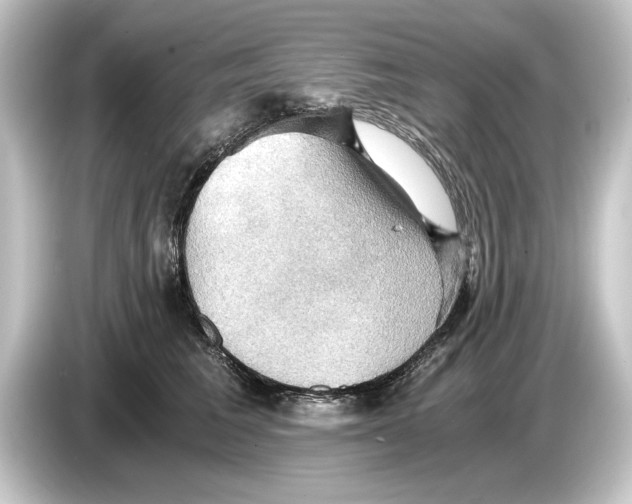 X0000084530613200703161609